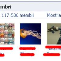 300 Fans auf Facebook bekommen für nur 29 euro